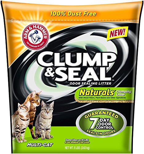 What is the best cat litter for odor control?