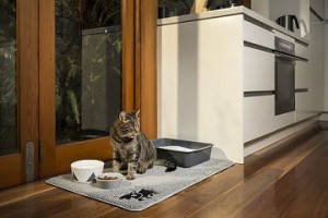 best cat litter mats