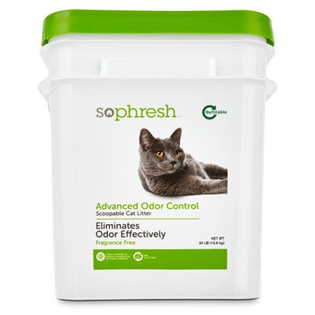 So Phresh Advanced Odor Control Unscented Cat Litter Review