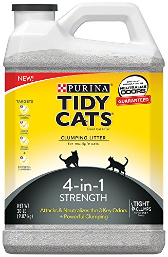 Tidy Cats 4 in 1 Strength Cat Litter Review