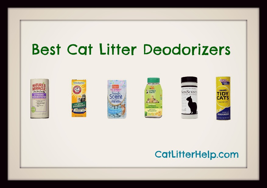 Cat Litter Comparison Chart