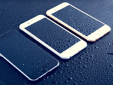 wet-phone-cat-litter