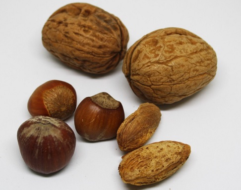 walnuts cat litter