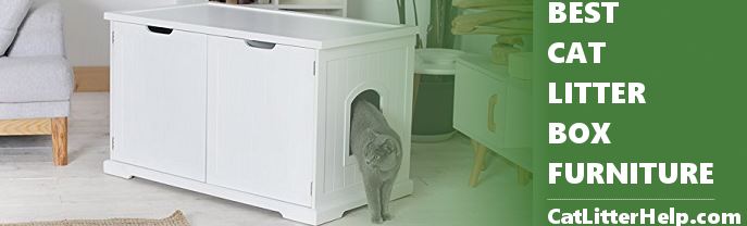 best cat litter box furniture